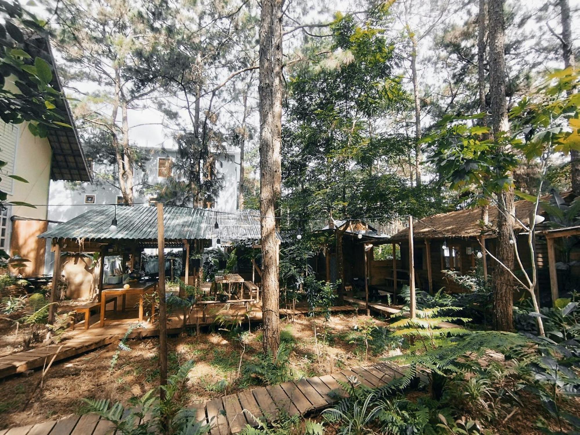 La Maison Homestay Mang Den Κον Τουμ Εξωτερικό φωτογραφία