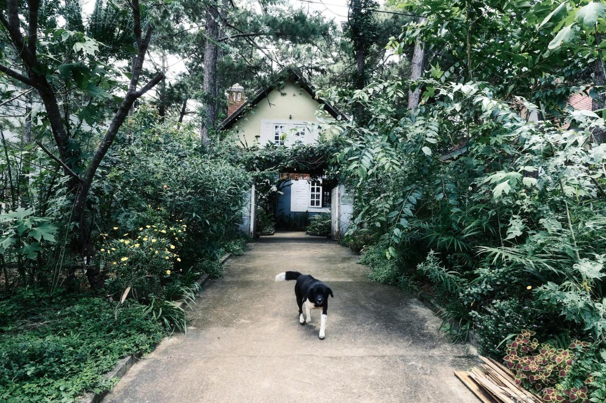 La Maison Homestay Mang Den Κον Τουμ Εξωτερικό φωτογραφία